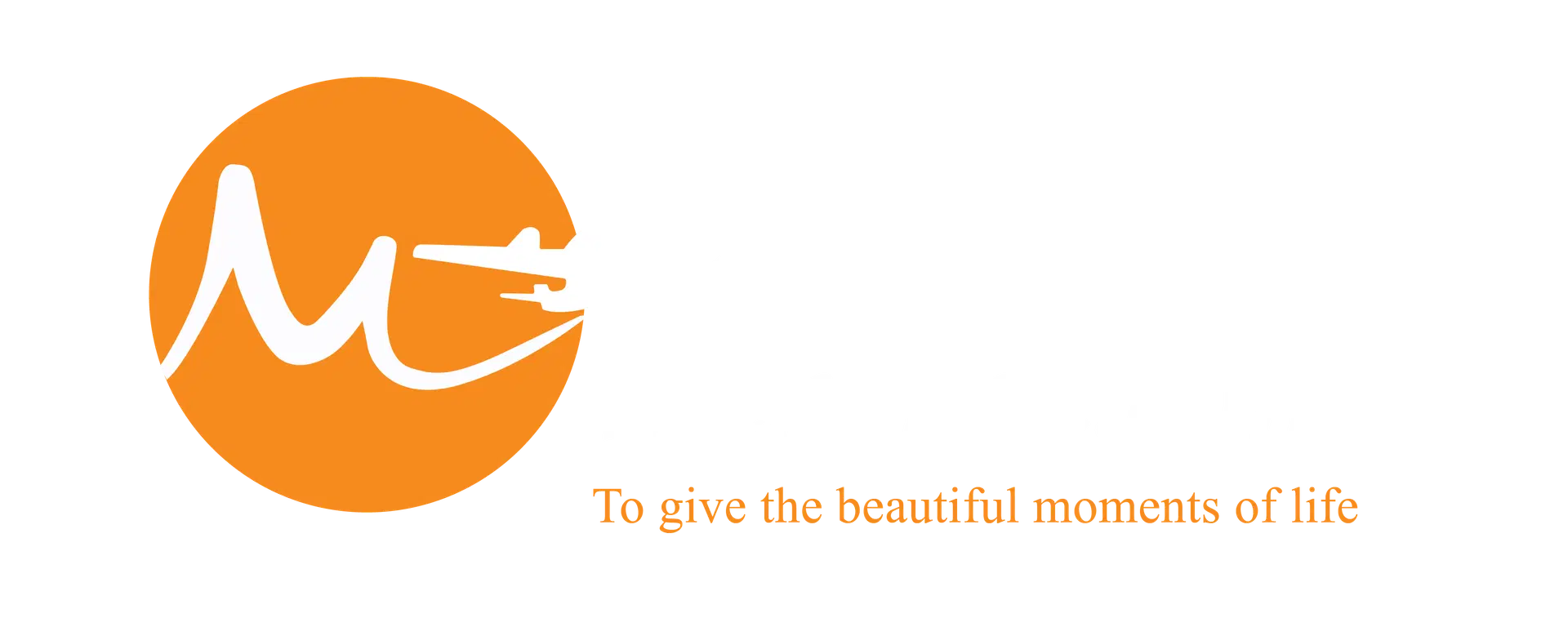 light logo